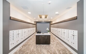 Overture Centennial 55+ Active Adult Apartment Homes in Raleigh, NC - Building Photo