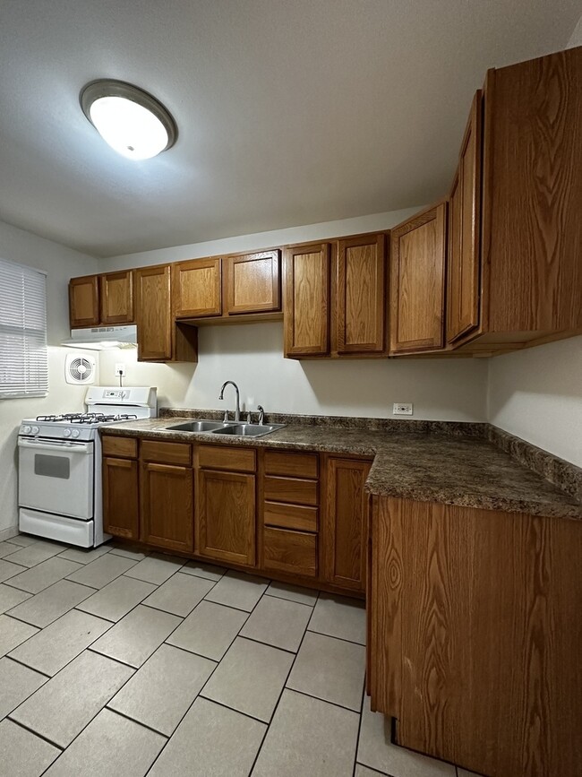 739 Walnut St in Waukegan, IL - Building Photo - Building Photo