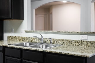 113 Independence Ave in Liberty Hill, TX - Building Photo - Building Photo