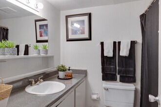 Courtyard at Encanto Apartments in Phoenix, AZ - Building Photo - Interior Photo