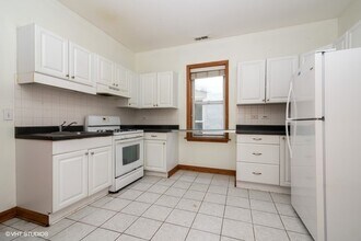 819 S Carpenter St in Chicago, IL - Building Photo - Building Photo