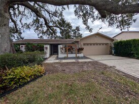 1117 Lakemont Dr in Valrico, FL - Building Photo