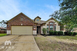 20818 Falcon Hill St in Humble, TX - Building Photo
