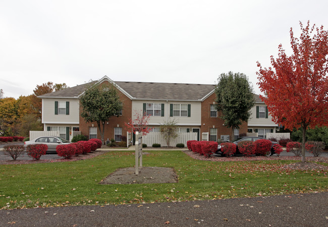 Thornton Place in Canton, OH - Building Photo - Building Photo