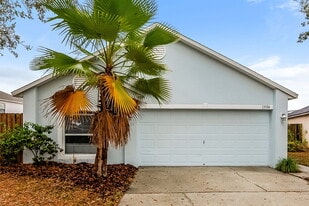 13506 Cohiba Ct in Riverview, FL - Building Photo