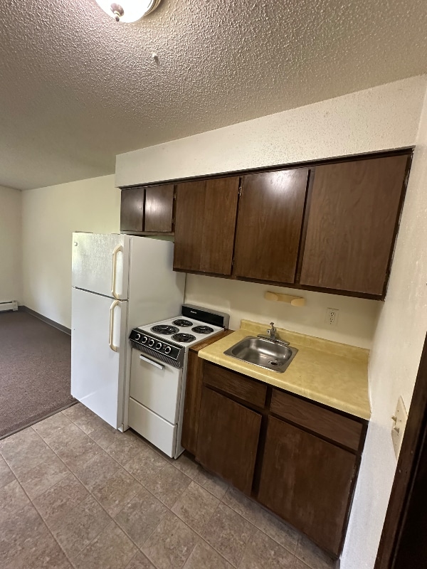 320 Oak Ave N in Thief River Falls, MN - Building Photo - Building Photo