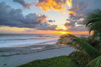 441 Neptune Rd in Juno Beach, FL - Building Photo - Building Photo
