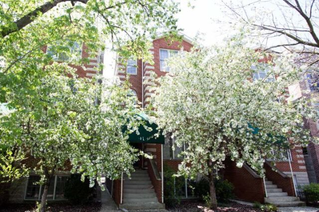 918 N Paulina St in Chicago, IL - Building Photo