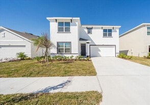 31127 Penny Surf Lp in Wesley Chapel, FL - Building Photo