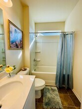 46 Stadelman Ct in Cartersville, GA - Building Photo - Building Photo