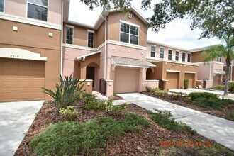 2954 Birchcreek Dr in Wesley Chapel, FL - Foto de edificio - Building Photo
