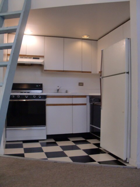 2057 W Dickens Ave-Unit -1N in Chicago, IL - Building Photo - Building Photo