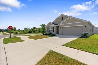 10233 Opaline Sky Ct in Riverview, FL - Building Photo - Building Photo