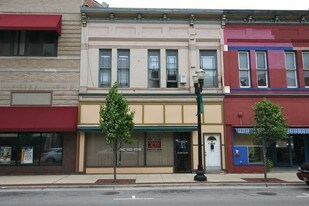 59 S Grove Ave in Elgin, IL - Building Photo
