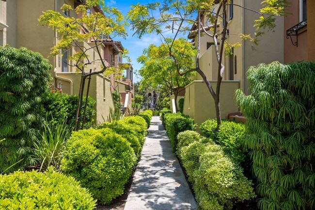 2636 Escala Cir in San Diego, CA - Building Photo - Building Photo