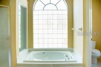 1220 Maravista Dr in Trinity, FL - Building Photo - Building Photo