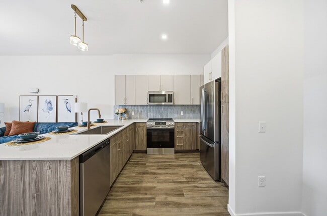 Webster Station Flats