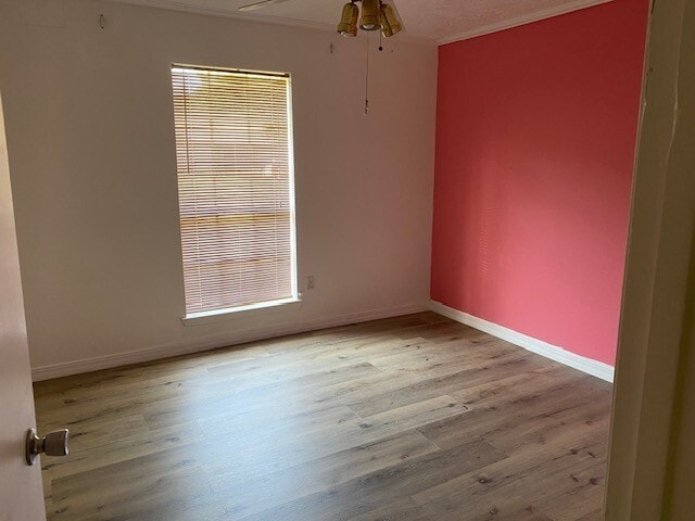 property at 11610 Pine Knoll