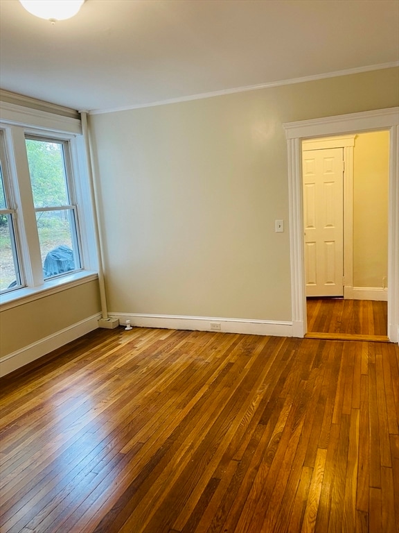 property at 28 Quint Ave