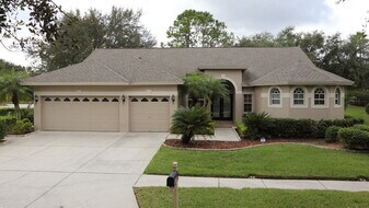 19137 Wind Dancer St in Lutz, FL - Building Photo