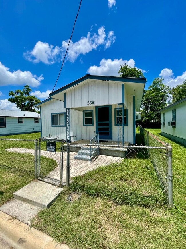 236 Camacho St in San Marcos, TX - Building Photo - Building Photo