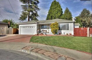 14790 Ruthelen Ct in San Leandro, CA - Building Photo