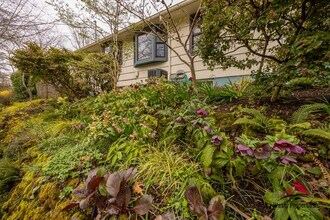 3205 NE Davis St in Portland, OR - Building Photo - Building Photo