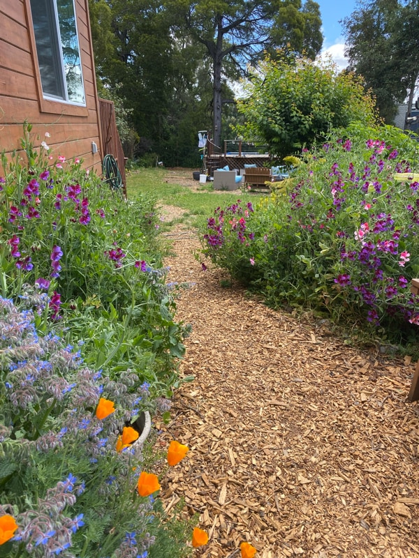 4284 Maybelle Ave in Oakland, CA - Building Photo - Building Photo