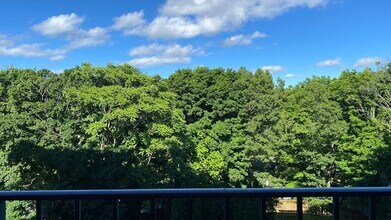 240 Willard St in Quincy, MA - Foto de edificio - Building Photo