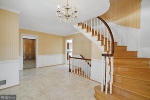 513 Cathedral Dr in Alexandria, VA - Building Photo