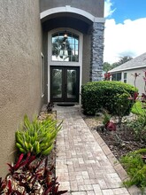 9524 Greenpointe Dr in Tampa, FL - Building Photo - Building Photo