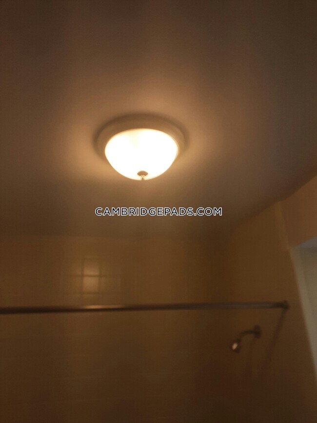 381 Harvard St-Unit -21 in Cambridge, MA - Building Photo - Building Photo