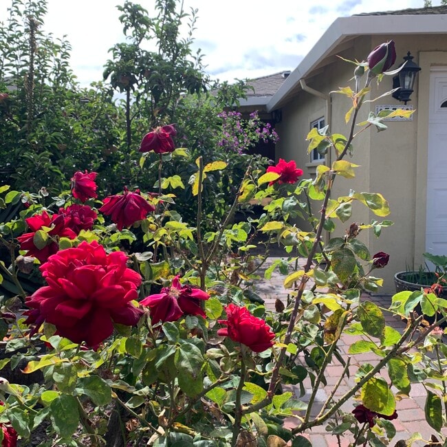 property at 736 6th Ave