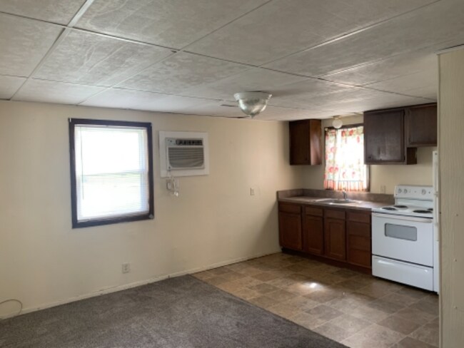 516 E 5th St, Unit 2 in Wayne, NE - Building Photo - Building Photo