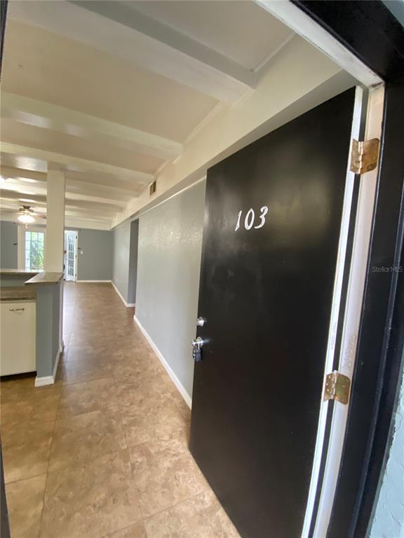 14419 Americana Cir in Tampa, FL - Building Photo - Building Photo