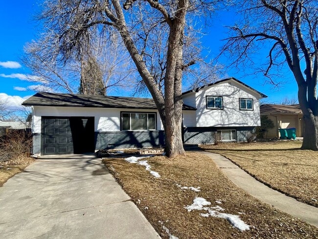 Newly Renovated 4 Bed 2 Bath House Near CSU! in Fort Collins, CO - Building Photo - Building Photo