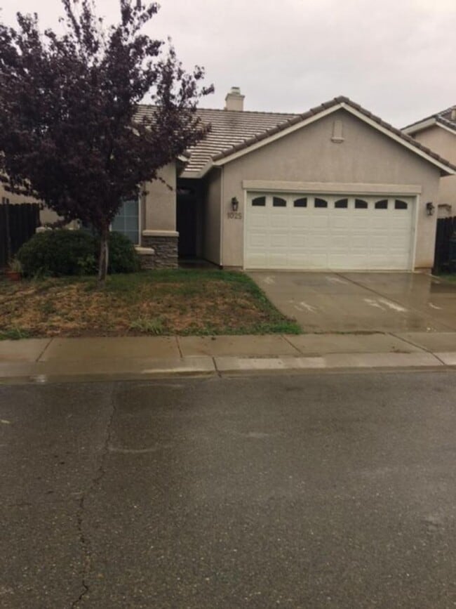 property at 1025 Martin Ct