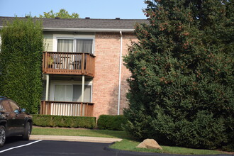 715 Randolph St in Northville, MI - Foto de edificio - Building Photo