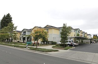 Terracina at Santa Rosa Apartments