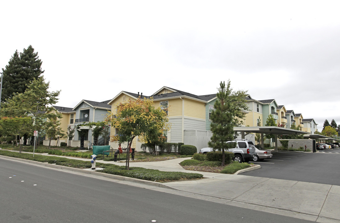 Terracina at Santa Rosa in Santa Rosa, CA - Building Photo