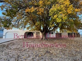 1420 N Country Club Cir in Carlsbad, NM - Building Photo