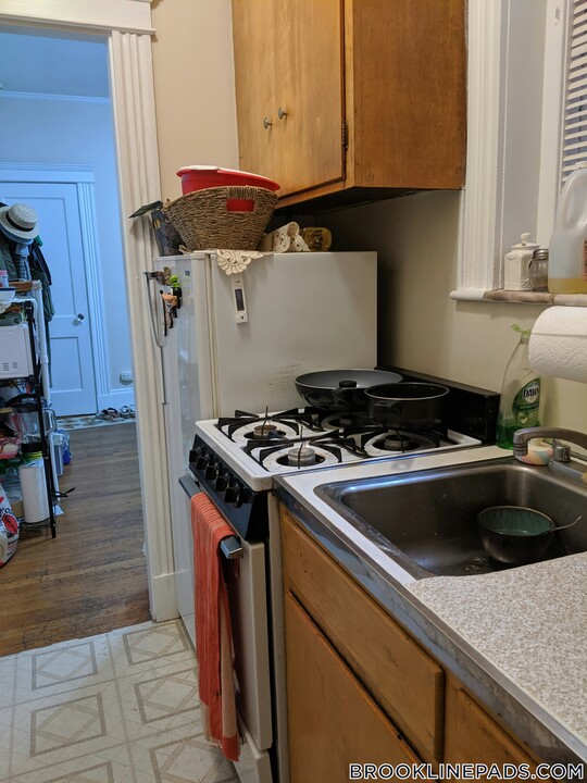 97 Marion St in Brookline, MA - Building Photo