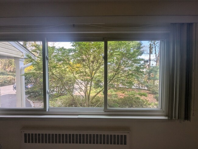 22 Gaines St, Unit First Floor