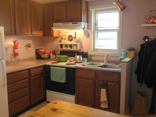 412 S Brearly St in Madison, WI - Building Photo - Building Photo