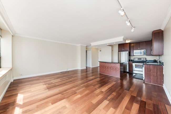 1360 N Sandburg Terrace in Chicago, IL - Building Photo - Building Photo