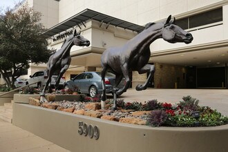 The Shelton in Dallas, TX - Building Photo - Building Photo