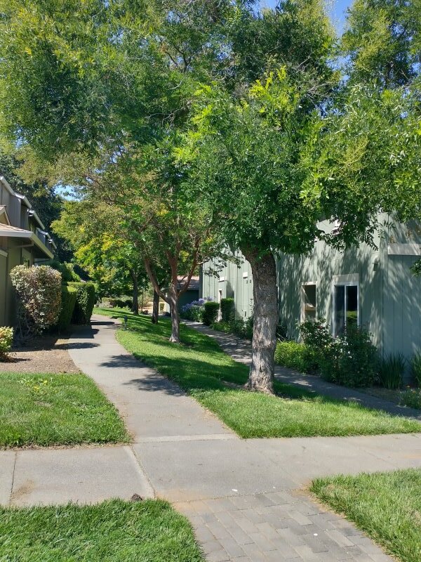 118 Oliva Ct in Novato, CA - Building Photo - Building Photo