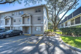14416 Reuter Strasse Cir in Tampa, FL - Building Photo