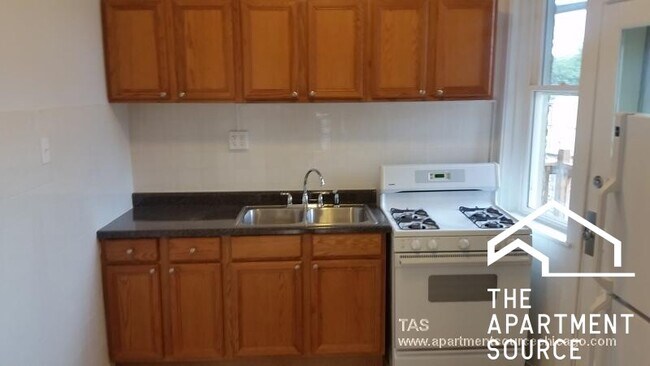 2917 W George St in Chicago, IL - Building Photo - Building Photo