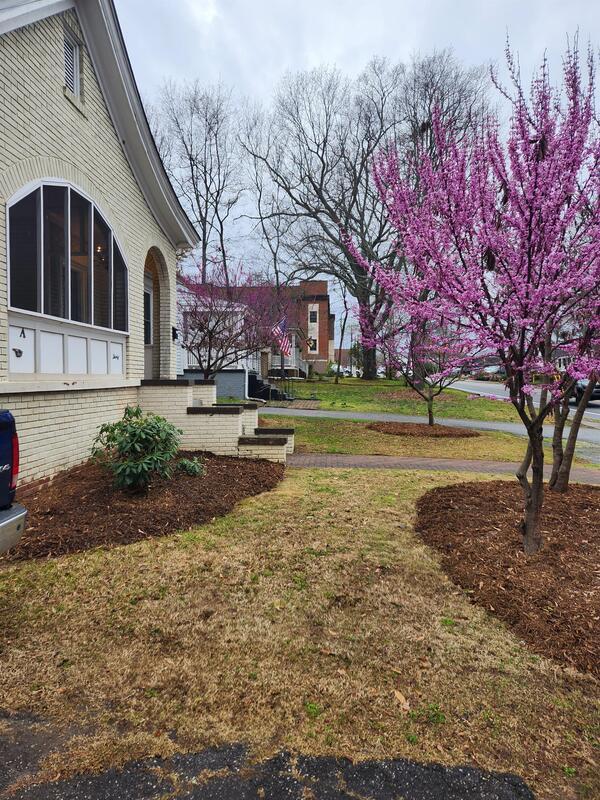 30 E Faris Rd in Greenville, SC - Building Photo - Building Photo